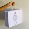 Sacola de papel personalizada 35x27x11